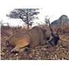 Image 4 : Niassa 10-Day Exportable Buffalo & Plains Game Hunt