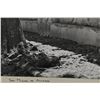 Image 8 : ORIGINAL PHOTOGRAPH (FR WM. H. MARTIN OGS+)
