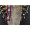 Image 13 : PRAIRIE OTTER SKIN FAUX BEAR CLAW NECKLACE