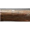Image 26 : LEATHER BOW CASE AND QUIVER ARROWS AND BOWS