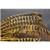 Image 8 : PLAINS INDIAN BONNET