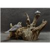 Image 3 : WOOD CARVING (LAWRENCE PACHECO)