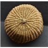 Image 10 : THREE HOPI BASKETS