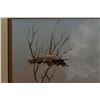 Image 5 : KIOWA PAINTING (BOBBY HILL "WHITE BUFFALO")