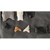 Image 11 : ANASAZI ARROWHEADS