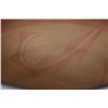 Image 10 : SANTO DOMINGO POTTERY OLLA (AMBROS ATENCIO)