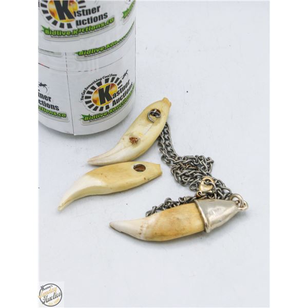 TIGER TEETH PENDANTS ON IN SILVER MOUNT