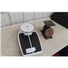 Image 1 : Vintage Floor & Kitchen Scales