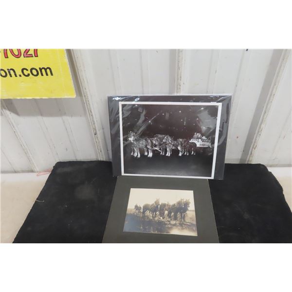 8x10 Photo of O’Keefe Brewery Horses Toronto 1963 Horse Show & an Old Photo.