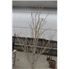 Image 2 : 7 Ft. LED Birch Tree for Indoor & Outdoor Use. 240 LED Lights.