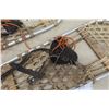 Image 3 : Set of Snowshoes 29 1/2'' x 10''