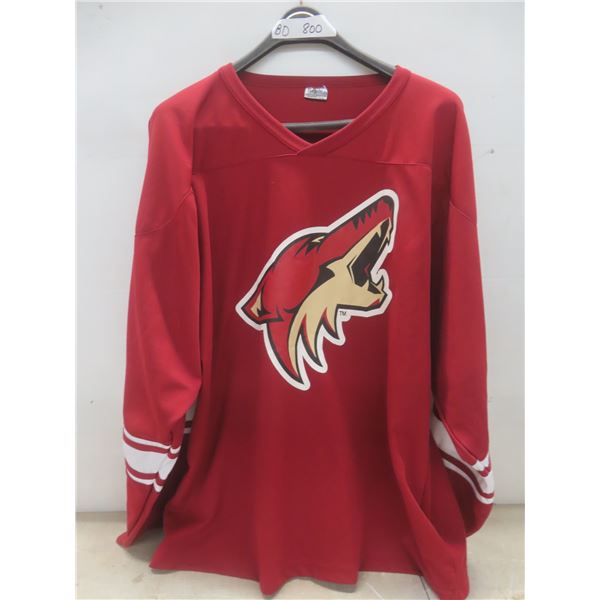 Vintage Phoenix/arizona Coyotes Mens Medium Jersey