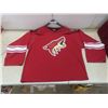 Image 6 : Vintage Phoenix/arizona Coyotes Mens Medium Jersey