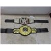 Image 1 : 2 Vintage WWE Wrestling Championship Belts