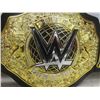Image 7 : 2 Vintage WWE Wrestling Championship Belts