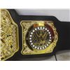 Image 8 : 2 Vintage WWE Wrestling Championship Belts