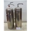 Image 1 : Two Chrome Full-Size Fire Extinguishers