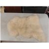Image 10 : 10" Lodge Cast-Iron Fry Pan (#3); 30" X 22" Sheepskin Rug; Bank of Montreal Money Bag