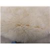 Image 12 : 10" Lodge Cast-Iron Fry Pan (#3); 30" X 22" Sheepskin Rug; Bank of Montreal Money Bag