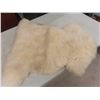 Image 13 : 10" Lodge Cast-Iron Fry Pan (#3); 30" X 22" Sheepskin Rug; Bank of Montreal Money Bag
