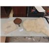 10" Lodge Cast-Iron Fry Pan (#3); 30" X 22" Sheepskin Rug; Bank of Montreal Money Bag