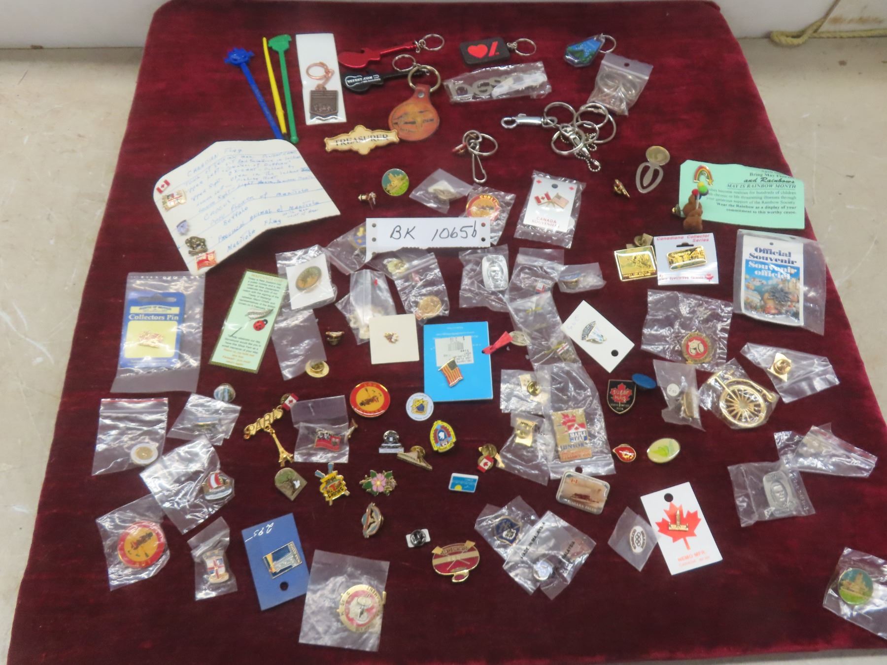 Pin Key Chain Assorted Key Chains and 84 Push Pins