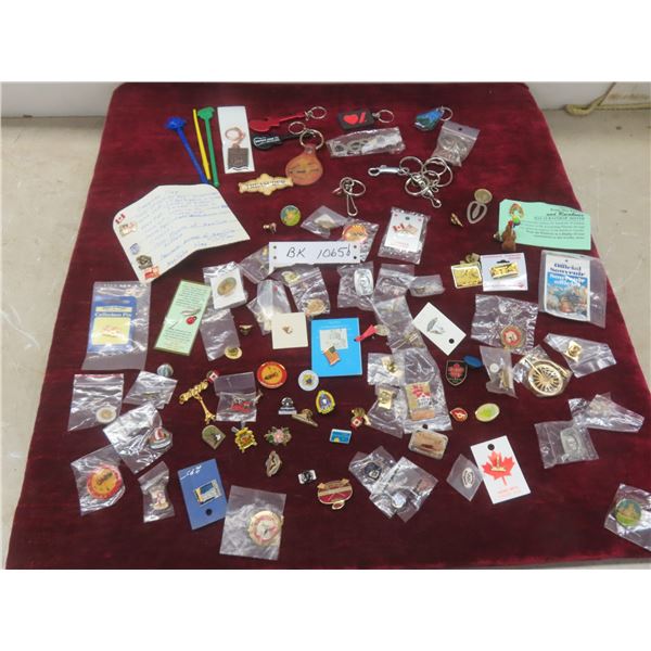 Assorted Key Chains and 84 Push Pins