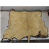Image 2 : Wild Boar Pelt Approximately 32 " X 26 "