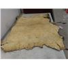 Image 3 : Wild Boar Pelt Approximately 32 " X 26 "
