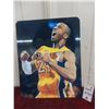 Image 1 : Kobe Bryant Metal Art