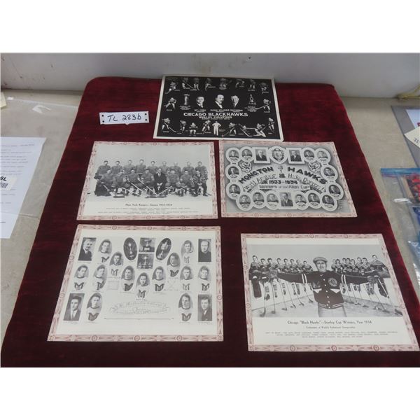 1933 & 1934 Chicago Blackhawks Stanley Cup Team Pictures and More
