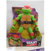Image 3 : TMNT Two-Pack (Leonardo & Raphael) and Four Foam Wall Decorations in Original Packaging