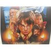 Image 4 : Harry Potter Hardboard Picture (39" × 27")