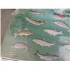 Image 4 : Fishing Poster, Fish Species, Net, Ice Bag Cushion +