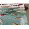 Image 6 : Fishing Poster, Fish Species, Net, Ice Bag Cushion +