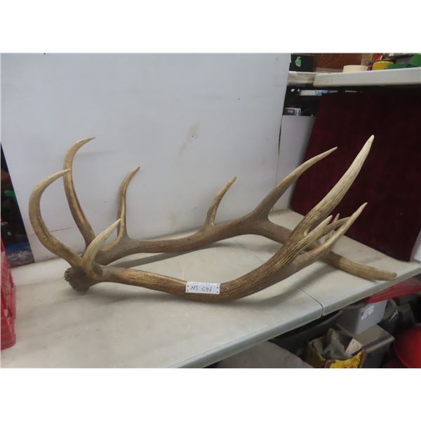 Pair of Elk Sheds 8 FT Across
