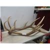 Image 1 : Pair of Elk Sheds 8 FT Across