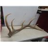 Image 3 : Pair of Elk Sheds 8 FT Across