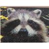 Image 3 : Two Wall Art Pieces: Slogan 30" x 15" and 16" x 20" Cute Raccoon
