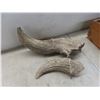 Image 5 : Stone Hammer and Bovine Horns