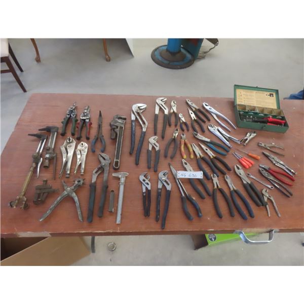 Pop Rivet Gun & Rivets, Pliers, Vise Grips, Snips, Torches