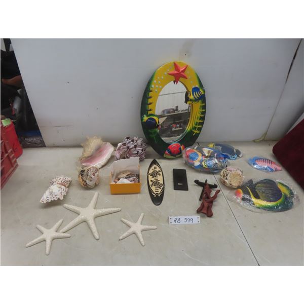 Florida Seashell Collection and Beach Décor