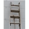 Image 4 : Adjustable Aluminum Extension Ladder Extending 10–20 Feet
