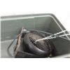 Image 6 : Ace 400-Watt Ballast, Fans, Grow Lights, Heat Pad