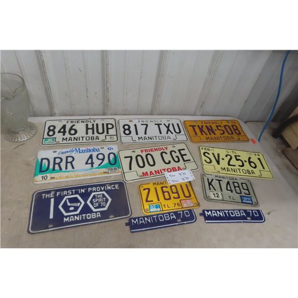 Eleven Licence Plates With Tags