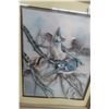 Image 5 : Two 3D Blue Jay Framed Pictures