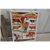 Image 2 : Cow Country Metal Display and More