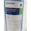 Image 4 : CARTOUCHE DE CHARBON ACTIF GRANULAIRE 20" PENTAIR GAC-20BB