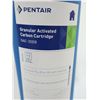 Image 4 : CARTOUCHE DE CHARBON ACTIF GRANULAIRE 20" PENTAIR GAC-20BB