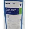 Image 4 : CARTOUCHE DE CHARBON ACTIF GRANULAIRE 20" PENTAIR GAC-20BB